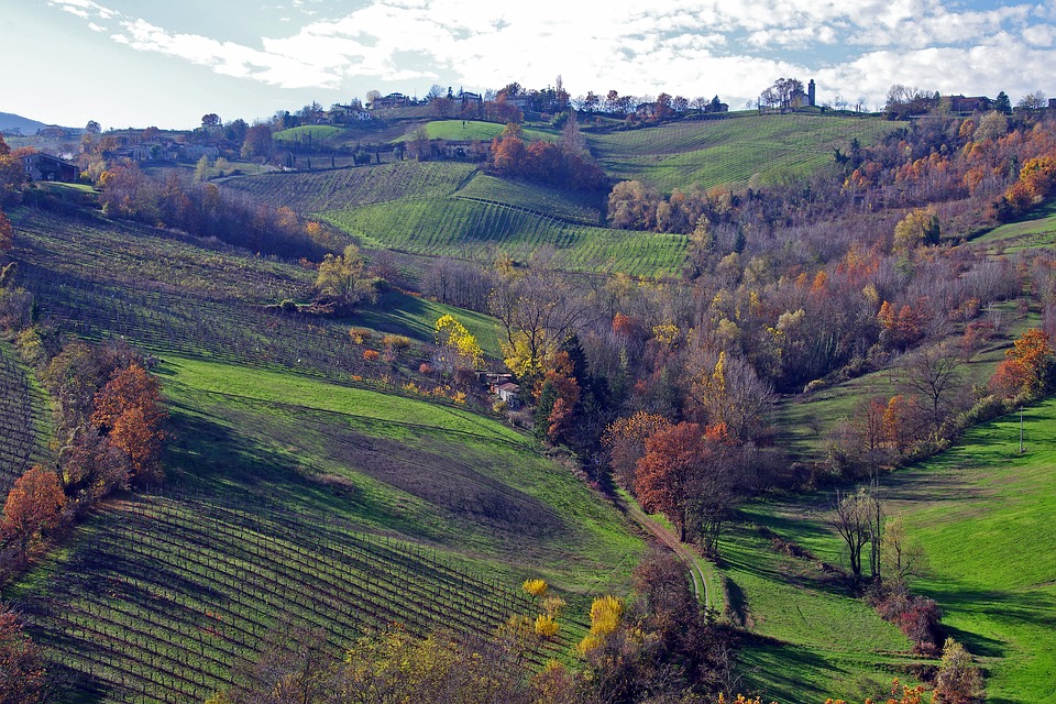 Vino in Emilia Romagna - Botrytis Enoteca Ferrara