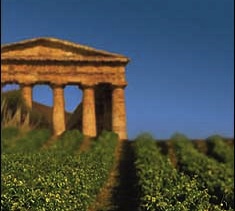 Il vino in Sicilia