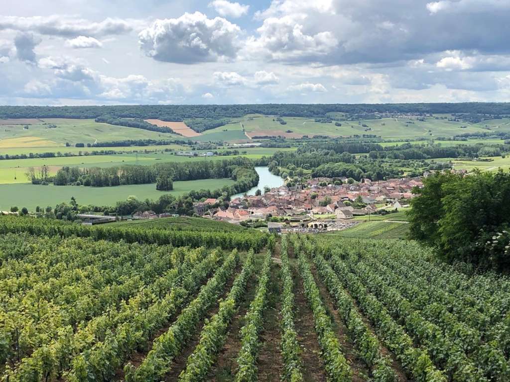 Classico panorama della Champagne