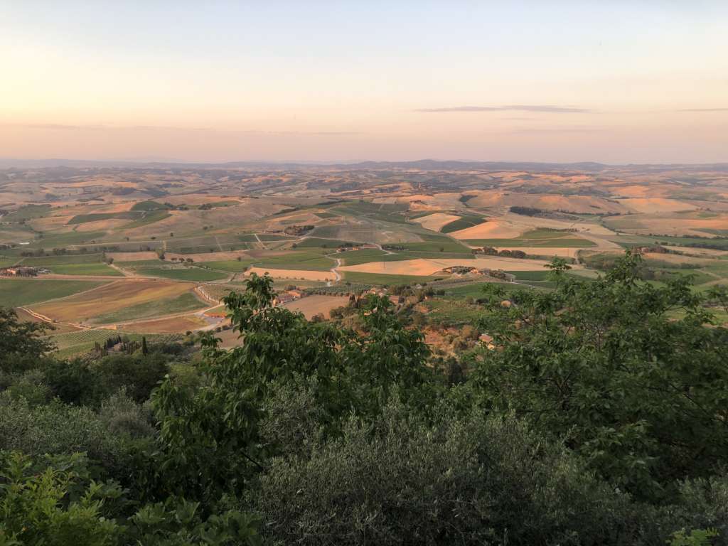 Vista sulla campagna di Montalcino