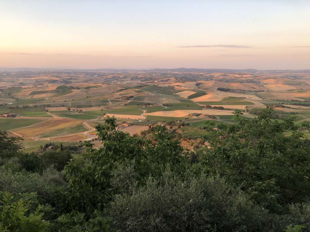 Vista sulla campagna di Montalcino