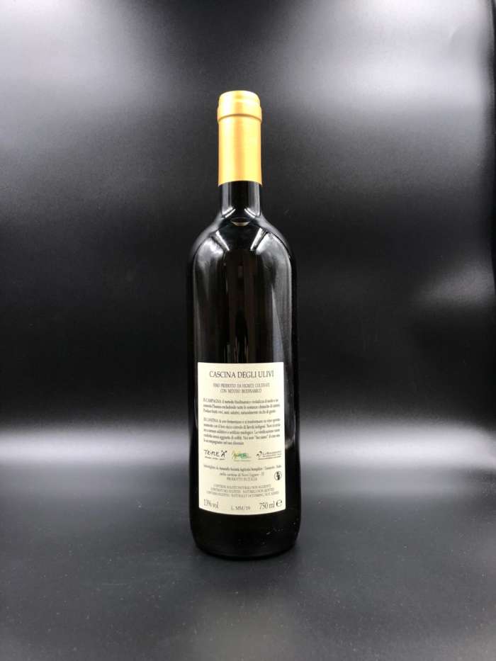 Montemarino 2019 - Cascina degli Ulivi - immagine 2