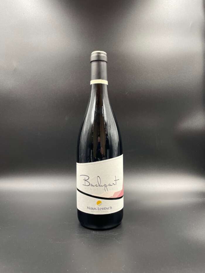 Blauburgunder Pinot Nero "Bachgart" 2019 - Klaus Lentsch