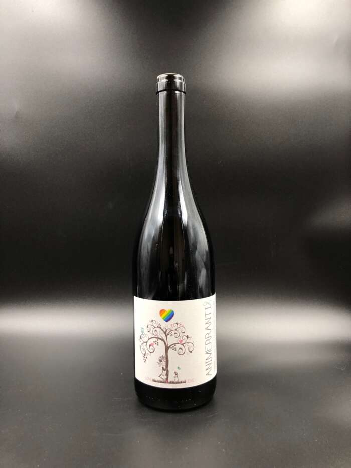 Rosso Terre Aquilane "AnimErranti" 2022 - Mariapaola Di Cato