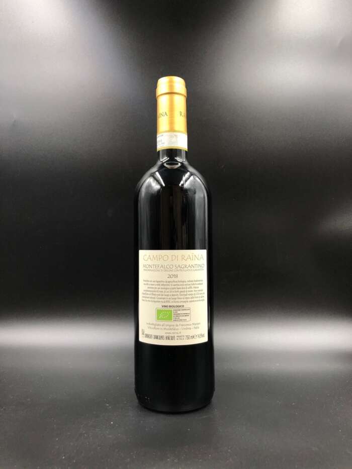 Campo di Raìna 2019 - Raìna - immagine 2