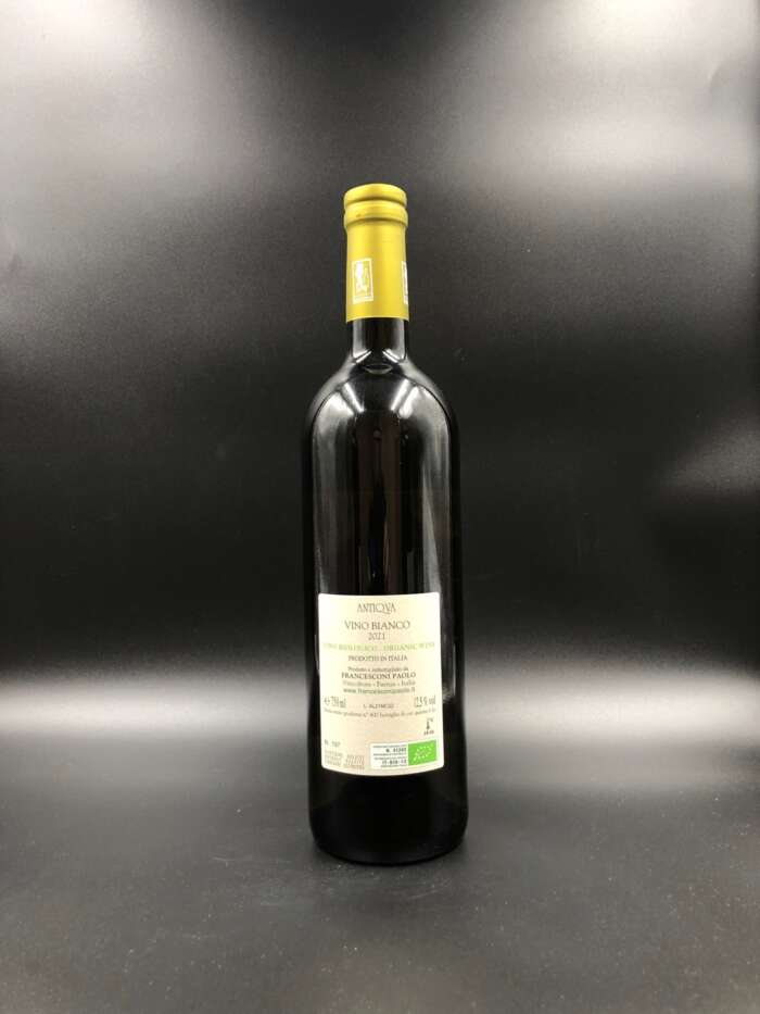 Antiqua 2023 - Paolo Francesconi - immagine 2