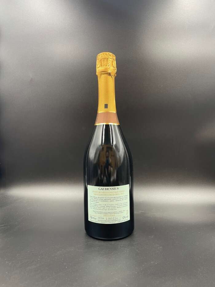 Etna Metodo Classico Blanc de Blancs Brut "Gaudensius" - Firriato - immagine 2