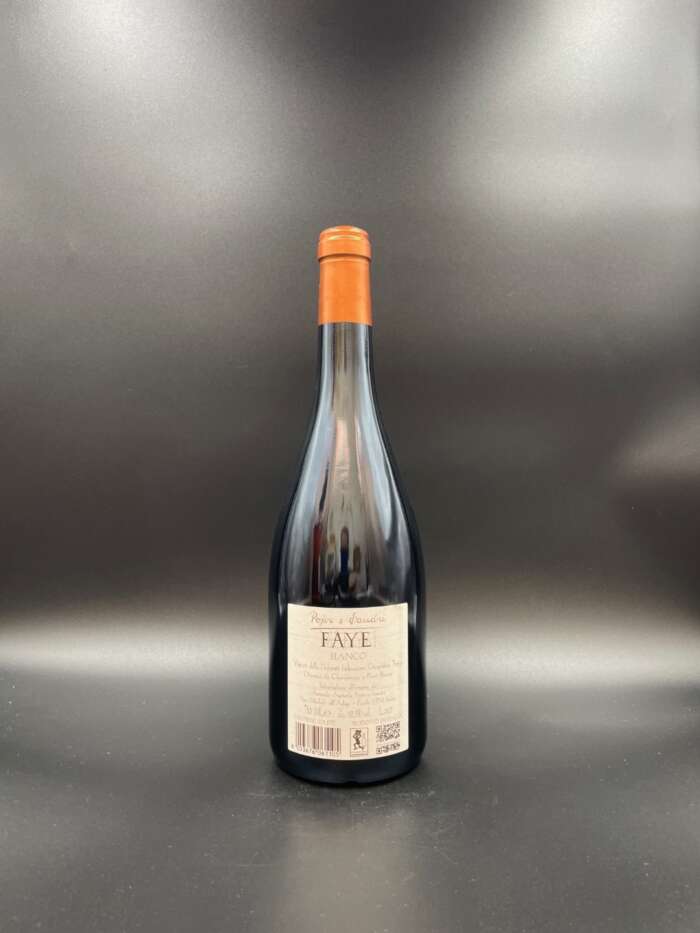 Faye Bianco 2020 - Pojer e Sandri - immagine 2