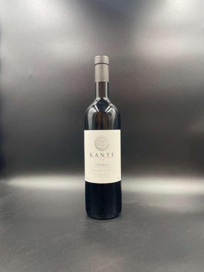 Terrano 2019 - Kante