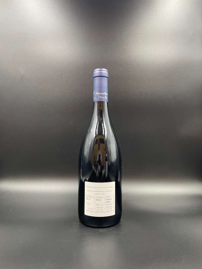 Gevrey-Chambertin Vieilles Vignes 2022 - Domaine Mazilly - immagine 2