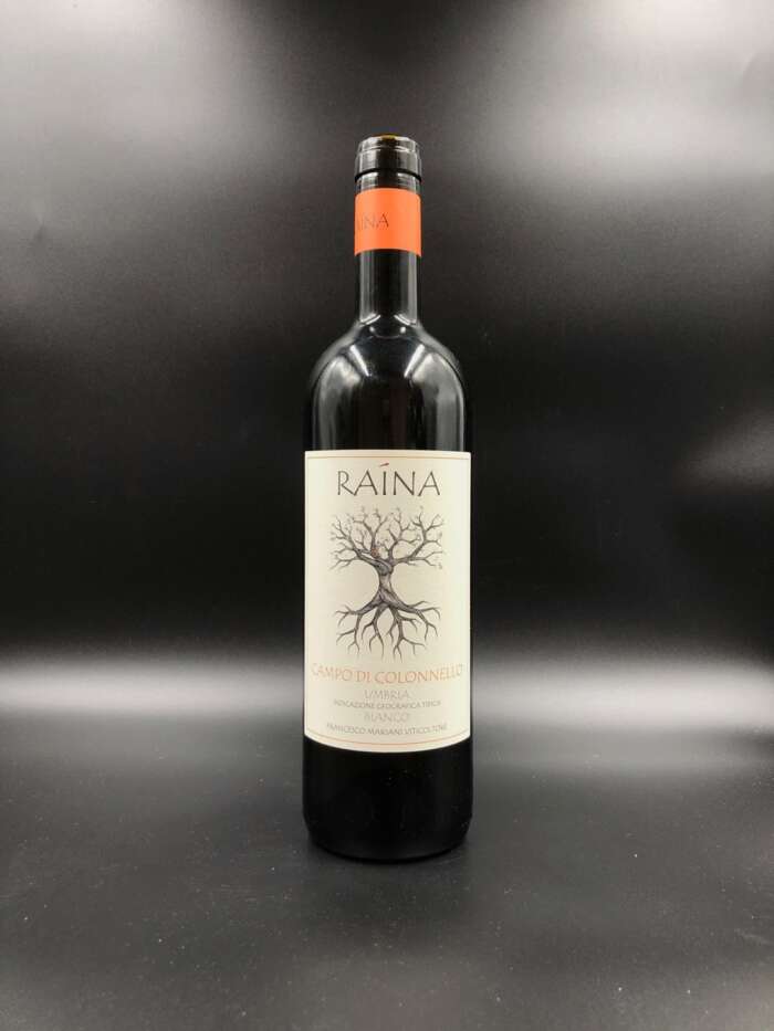 Campo di Colonnello 2023 - Raìna
